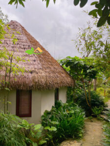 Tổng kho rơm nhân tạo Việt Nam