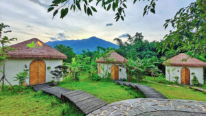 Tổng kho rơm nhân tạo Việt Nam