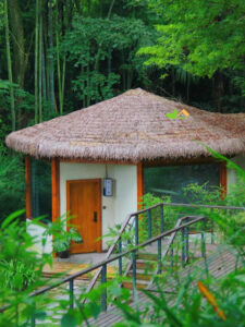 Tổng kho rơm nhân tạo Việt Nam