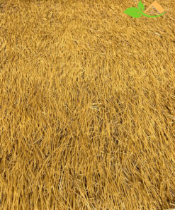 Tổng kho rơm nhân tạo Việt Nam